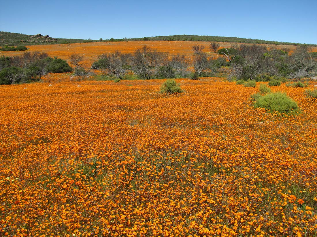 Okiep Country Hotel | Okiep Accommodation | Northern Cape Hotel ...